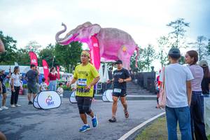 BIB: 
                            <button type="button" onclick="openModal(26551672)" class="btn btn-primary btn-sm float-right btn-popup" data-toggle="modal" data-target=".modal-high-quality">
                        <i class="fas fa-shopping-cart"></i> Add to Cart
                    </button>
                                            <button type="button" onclick="isThisMe(26551672, true)" class="btn btn-success btn-sm float-right btn-popup btn-isme hidden" data-toggle="tooltip" data-placement="bottom" title="นี่คือรูปของคุณใช่ไหม คลิกที่นี่เพื่อเอาเข้าอัลบั้ม">
                        <i class="fas fa-plus"></i> Add to album
                    </button>
                    <button type="button" onclick="isThisMe(26551672, false)" class="btn btn-warning btn-sm float-right btn-popup btn-isnotme hidden">
                        <i class="fas fa-ban"></i> Remove from album
                    </button>